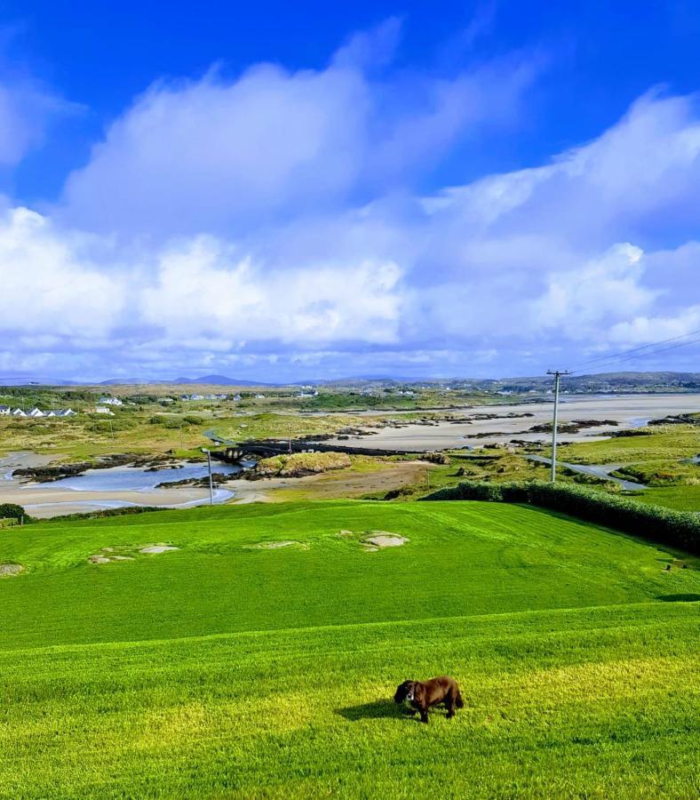 Bed and Breakfast Tidal View Kincasslagh Exteriér fotografie